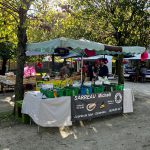 marche 10