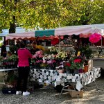 marche 11